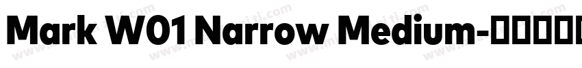 Mark W01 Narrow Medium字体转换